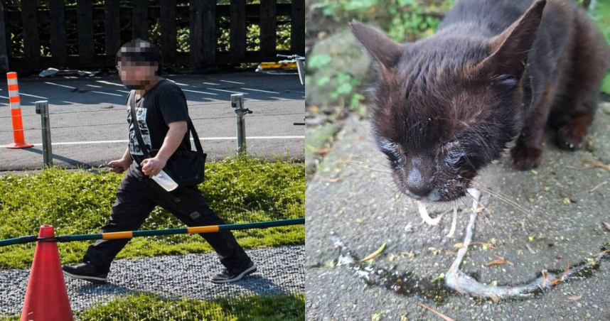 28歲李姓男子因「心情不好」，在猴硐貓村以辣椒水噴灑貓咪臉部，造成貓隻眼睛嚴重不適。（圖／翻攝畫面、瑞芳猴硐貓公所Threads）