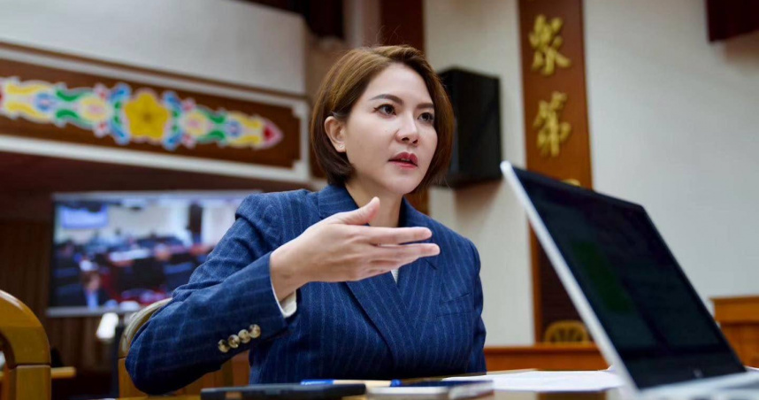 陳菁徽說，民進黨民調低，其實就是中央執政問題重重，滿滿拖油瓶。（圖／翻攝自陳菁徽臉書）