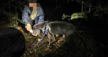 老翁登山遇溪水暴漲受困 下載「119報案APP」定位獲救