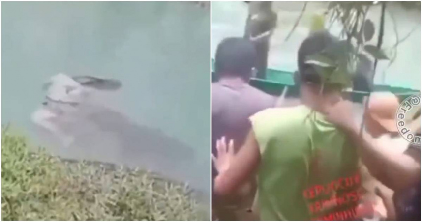 女子在河邊採空心菜被鱷魚咬死。（圖／翻攝Ｘ）