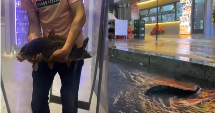 遼寧省本溪市街道因大雨淹水，1名燒烤店老闆與廚師發現水中有一群魚，事後兩人得知魚群屬於上游1家餐廳所有，也將抓到的魚物歸原主。（圖／擷取自塞雲火鍋店抖音）