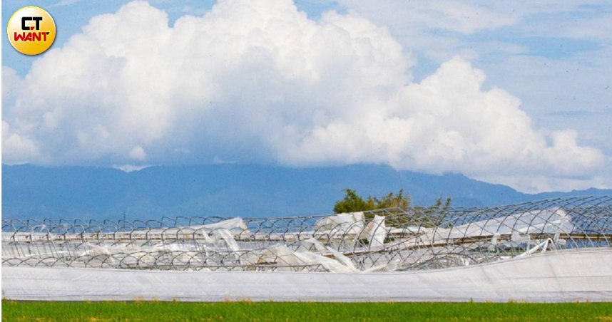 七月至今颱風與連日豪雨重創嘉南平原。（圖／黃威彬攝）