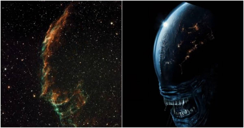 多布里耶維奇捕捉到面紗星雲的詭異輪廓，酷似經典電影中的虛構怪物「異形」。（合成圖／翻攝自X平台／Daisy Dobrijevic）