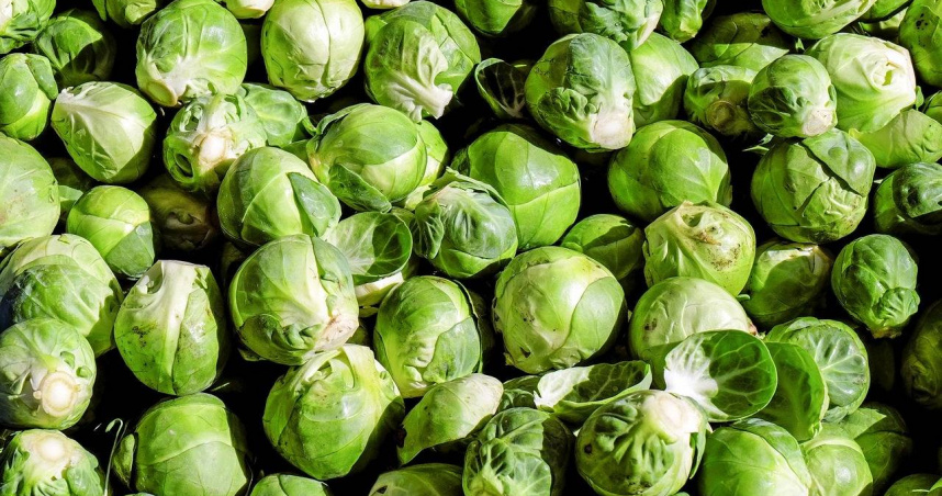 越南蔬菜進口台灣農藥超標。（示意圖／Pexels）