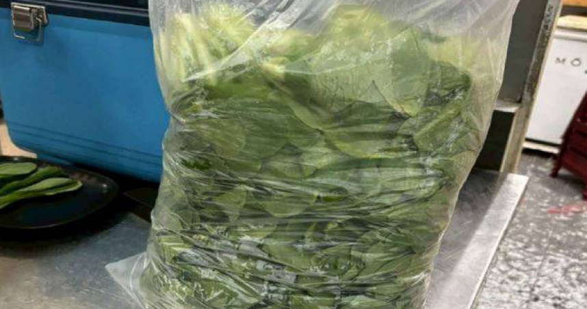 臺北市衛生局公布114年火鍋料抽驗結果。（圖／臺北市衛生局提供）