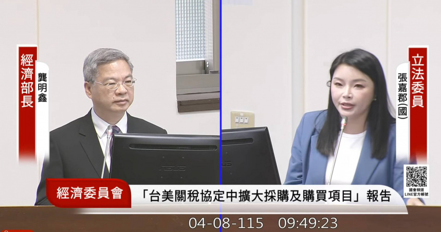 張嘉郡表示，這可能是一場長期抗戰，建議經濟部、行政院未雨綢繆。（圖／截自國會頻道）