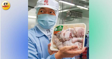 台灣奇雞2/慘賠千萬中想出好主意 打入全聯變土雞冠軍