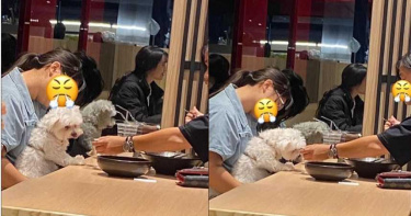 餐廳吃飯驚見隔壁桌客人用「餐廳湯匙」餵狗 女氣炸拍照PO網引戰