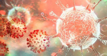 保護元件大廠聚鼎爆員工確診 產線全面停工 衛生局急疫調。（示意圖／達志影像）