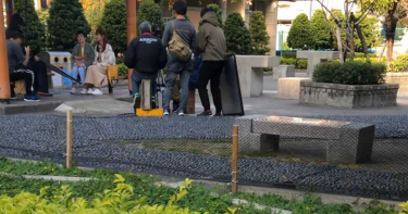 捕獲野生苗可麗攜手「媳婦」 公園拍片親切微笑