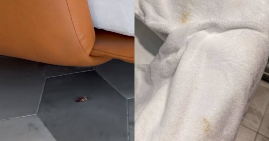 台南一家旅館不僅大廳有蟑螂屍體，房間內毛巾還有明顯污漬。（圖／翻攝自Threads／@jerryjerry113）