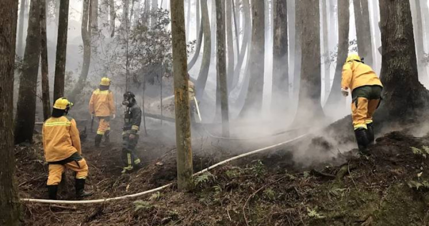春季少雨導致林地乾燥，提升森林火災風險。（圖／林業保育署提供）