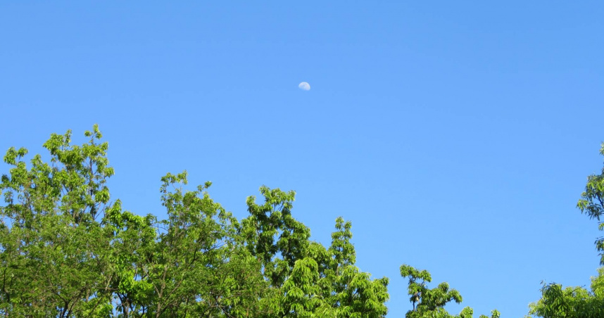 8月份12星座運勢搶先看。（圖／photoAC）