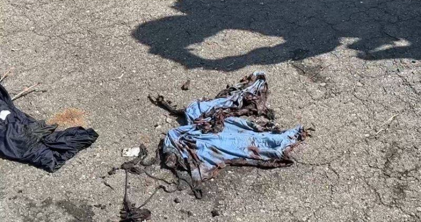 （圖／三立新聞網提供）