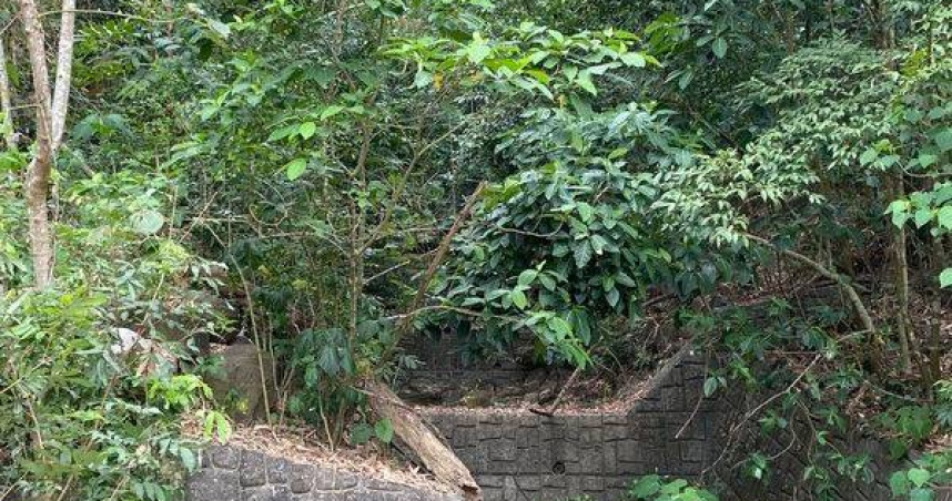 丈夫疑失足墜落邊坡，警消緊急搜救中。（圖／翻攝畫面）