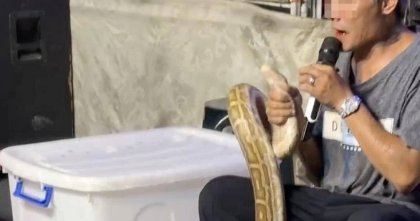 高雄旗山夜市近日一處攤位以宗教名義展示活體蟒蛇與大鱷龜，現場卻出現拍打蛇體、強迫互咬、焚香畫符等行為，引發虐待動物疑慮，民眾不滿怪力亂神行徑，將影片公開並向市府檢舉。（圖／翻攝照片）