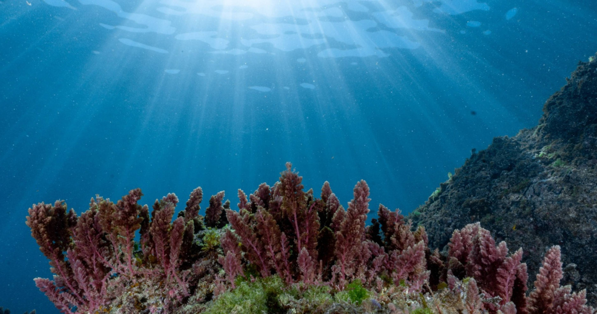 076)《海門修復⁄Sea 海門修復 英×4 Gate Restoration》⁄《