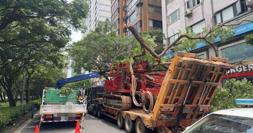 北市曳引車載工程機械勾斷路樹　警揪行禁行路段未申請