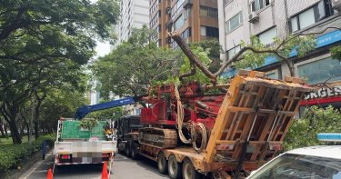 北市大安區敦化南路和平東路口23日11時許發生一起載運工程機械曳引車勾斷路樹事故。（圖／翻攝畫面）