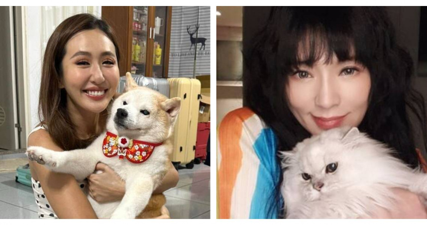 薔薔愛犬離世勾傷痛！　唐綺陽夢見咪將「一秒落淚」