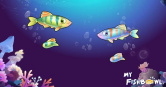 臉書小遊戲「開心水族箱」發公告，令不少網友驚呼「居然還在！」（圖／翻攝臉書／開心水族箱）