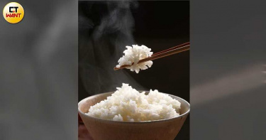 夏菌大爆發4/白飯冷藏2天就危險 95%仙人掌桿菌中毒這樣發生