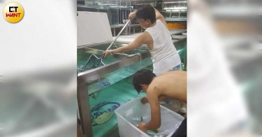 魟魚議員4/用公帑經營高級水族館 員工加班幫魚接生「新北議會」發薪水