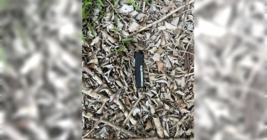 林信吾被帶回台南市警三分局接受調查,全案朝殺人罪方向偵辦。警方今天也將林嫌壓解至土城高中,尋獲犯案用的彈簧刀。(圖/翻攝畫面)