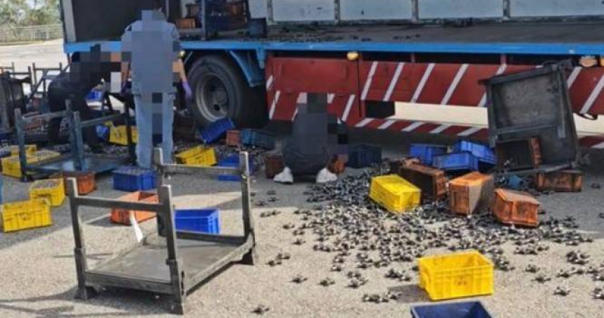 苗栗1輛大貨車左轉時，因鷗翼門門鎖未栓緊，導致載送的機械五金零件散落滿地。（圖／翻攝畫面）