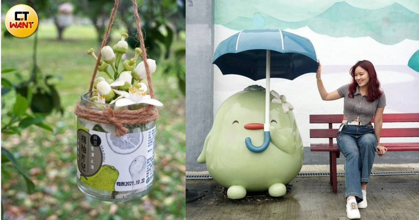 趁著台南麻豆柚花開，不如到柚子樹下進行野餐體驗再到柚兒園和可愛吉祥物「柚兒」合影打卡。（圖／魏妤靜攝）