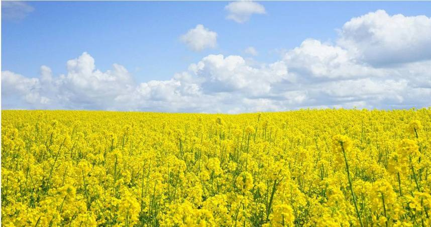 （示意圖／翻攝自pexels）