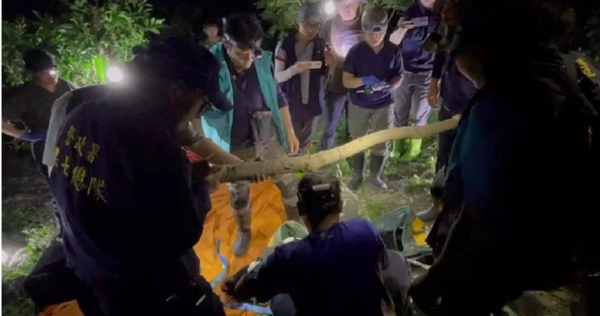 花蓮卓溪區黑熊遭槍擊致死事件，引起各界議論，甚至質疑為何不先以麻醉槍制伏黑熊，對此林保署也還原當下情況說明。（圖／玉山國家公園）