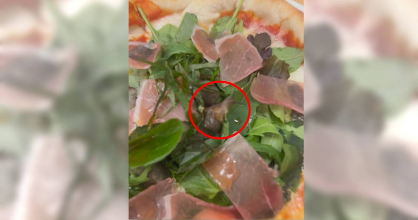 一名顧客前往「Joyfull」用餐，卻發現披薩上有隻活蝸牛。（圖／翻攝自X／@gGGNO5j）