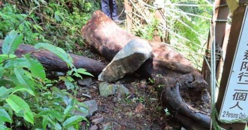 馬崙山驚現落石棧道連續被砸毀。（圖 ／翻攝畫面）