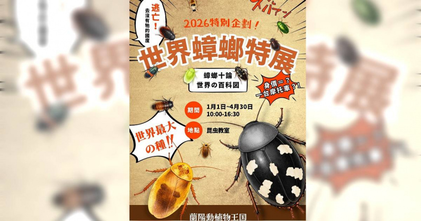 「蘭陽動植物王國」舉辦蟑螂特展，展出多種罕見珍稀品種，其中不乏色彩鮮豔或體型巨大的種類。（圖／翻攝自臉書，蘭陽動植物王國）