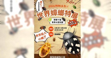 「蘭陽動植物王國」舉辦蟑螂特展，展出多種罕見珍稀品種，其中不乏色彩鮮豔或體型巨大的種類。（圖／翻攝自臉書，蘭陽動植物王國）