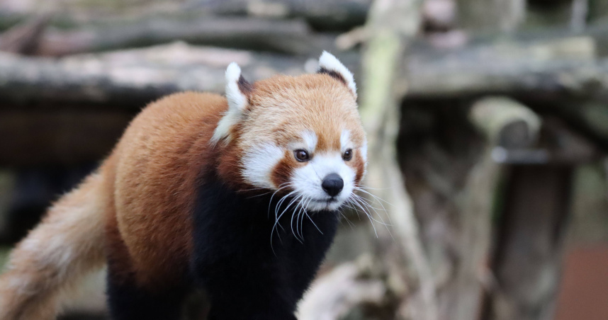 （示意圖／Pexels）