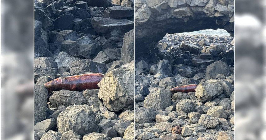 2米長的雄性瓶鼻海豚屍體，29日下午就被發現擱淺在澎湖西嶼小門鯨魚洞下方岩石上發臭。（圖／澎湖波莉士民宿提供／中國時報記者許逸民澎湖傳真）