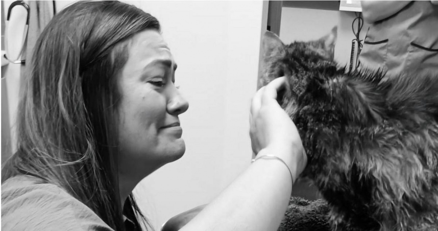 愛貓Minx走失13年後奇蹟返家，與主人潔德溫馨重逢。（圖／翻攝自臉書）