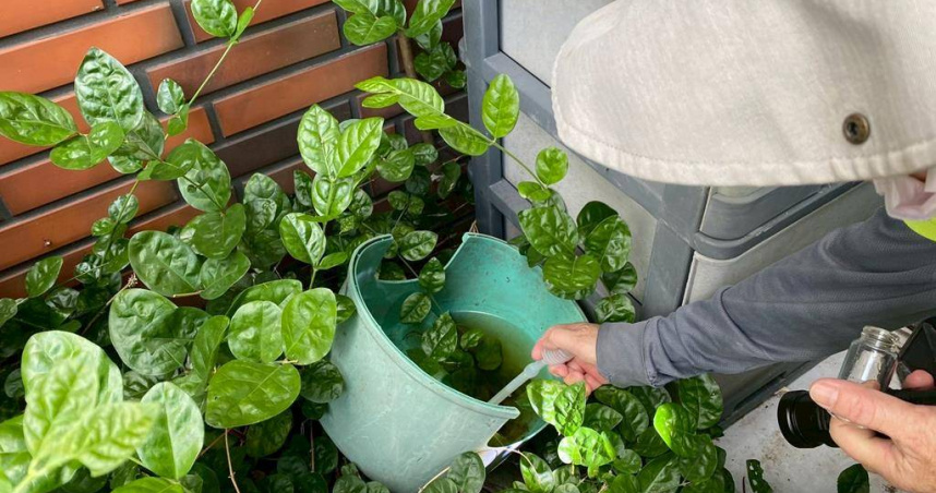 防疫團隊針對居住地與周邊警戒範圍啟動地毯式強制孳生源檢查。（圖／高雄市衛生局提供）