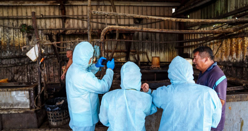 屏東縣府表示，10月22日農業部證實台中爆發非洲豬瘟案例，23日當天就完成第一輪稽查，稽查率100%，全力防堵非洲豬瘟疫情。（圖／取自屏東縣府網站）