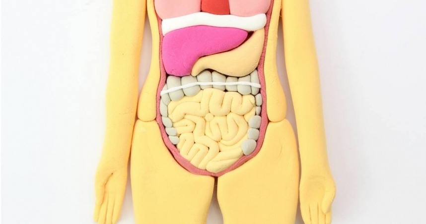 醫師舒敬軒提醒，如血便持續2週，或是常感腹部悶痛卻查不出原因，建議儘快就醫。（示意圖／photoAC）