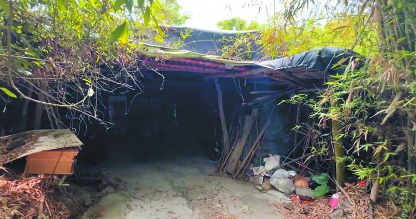 台南市偏遠竹寮27日傳出母子3屍命案。（圖／報系資料照）