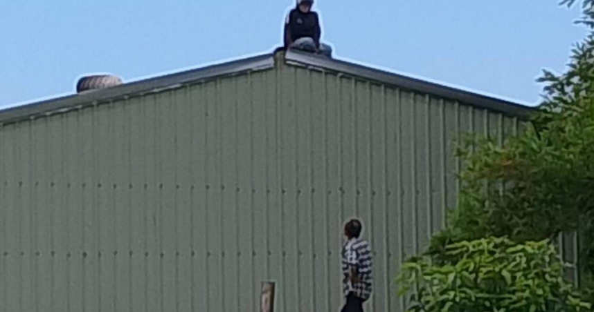 為7顆哈密瓜拼了！宜蘭女移工盜瓜遭圍捕　竟「爬鐵皮屋頂」與警對峙1小時