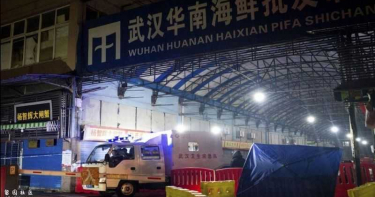 武漢肺炎/病毒僅限海鮮市場?最早發病疑在11月