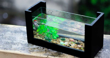 一抓穩喪命!水族箱「外表無害」貝殼形生物 毒液可殺死10成人
