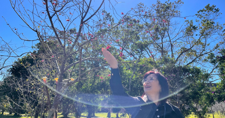 蔡培慧說，年假期間正值南投縣的櫻花季，建議民眾可以前往暨南大學賞櫻。（圖／蔡培慧提供）