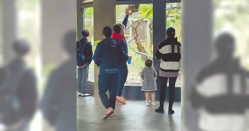 1名男子9日在台北市立動物園穿山甲館連續拍打白面捲尾猴展區玻璃，導致白面捲尾猴受驚嚇逃跑，恐涉及違反《野生動物保育法》及《動物保護法》。（圖／Threads帳號sean_la_rapsodia提供／中國時報温予菱台北傳真）