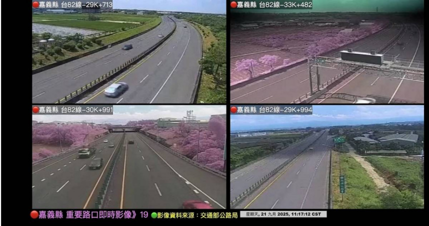 嘉義台82線快速道路出現大片粉紅,彷彿櫻花開。(圖/翻攝即時花況新聞社臉書)
