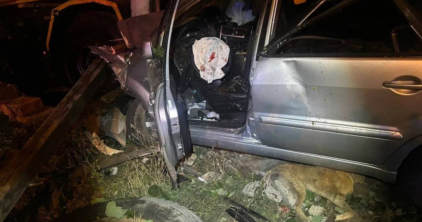 徐男23日凌晨酒駕上路，撞進吊車行內身亡，住戶飼養的犬隻也慘遭波及喪命。（圖／翻攝畫面）